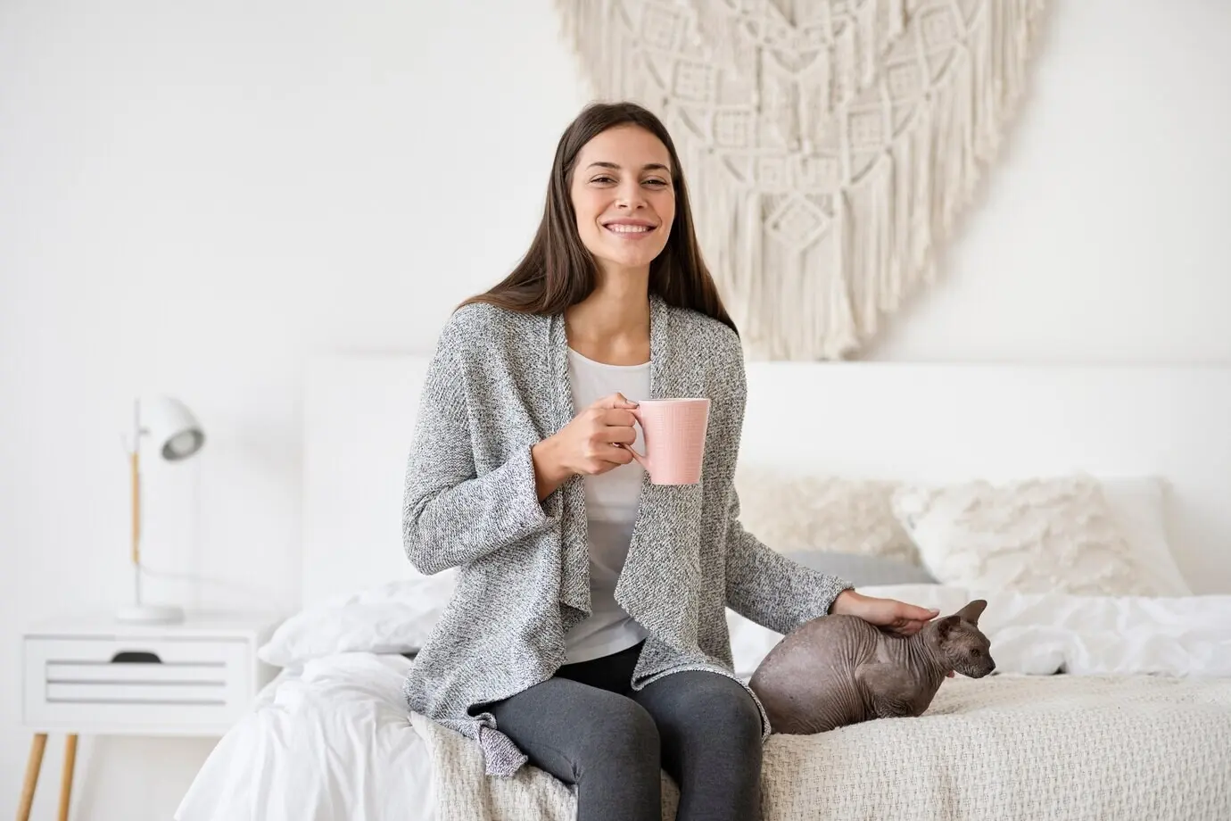 Образ жизни и портреты домашней кошки